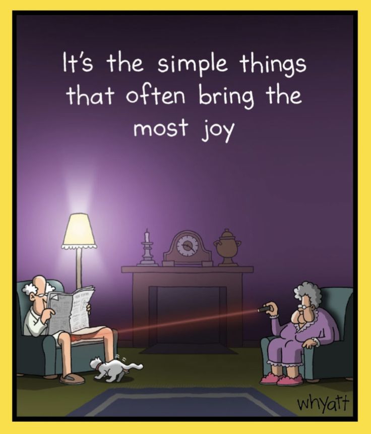 Karen 📚🐕‍🦺🇬🇧 tweet media