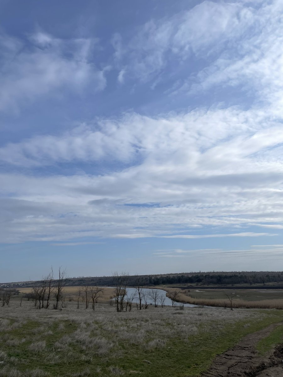 cupio dissolvi tweet media