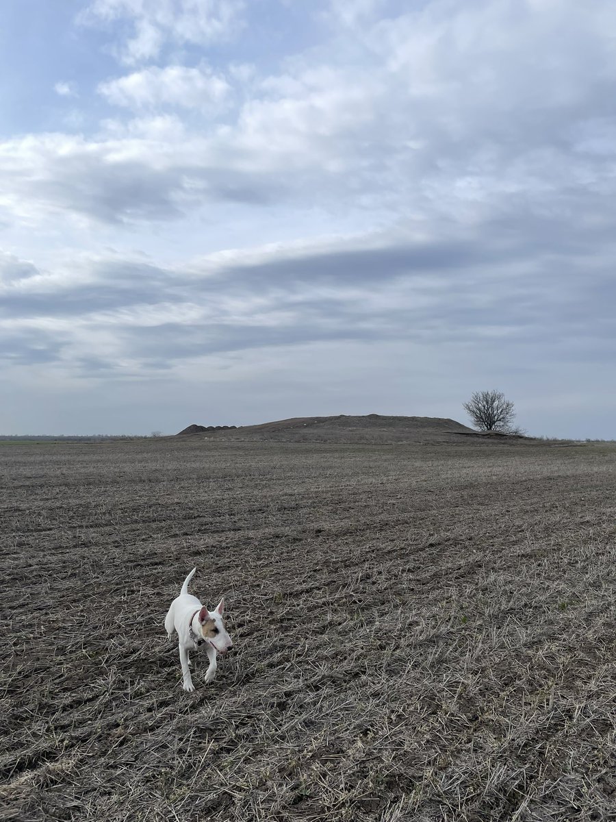 cupio dissolvi tweet media