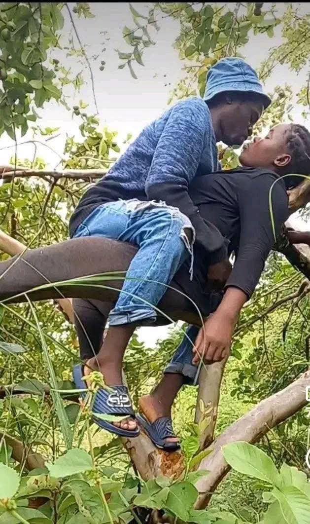 Masibanda🐵 tweet media