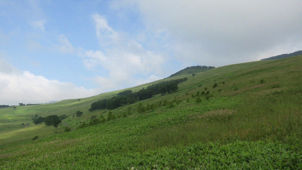 ろーんぐれみ（もっQ） tweet media