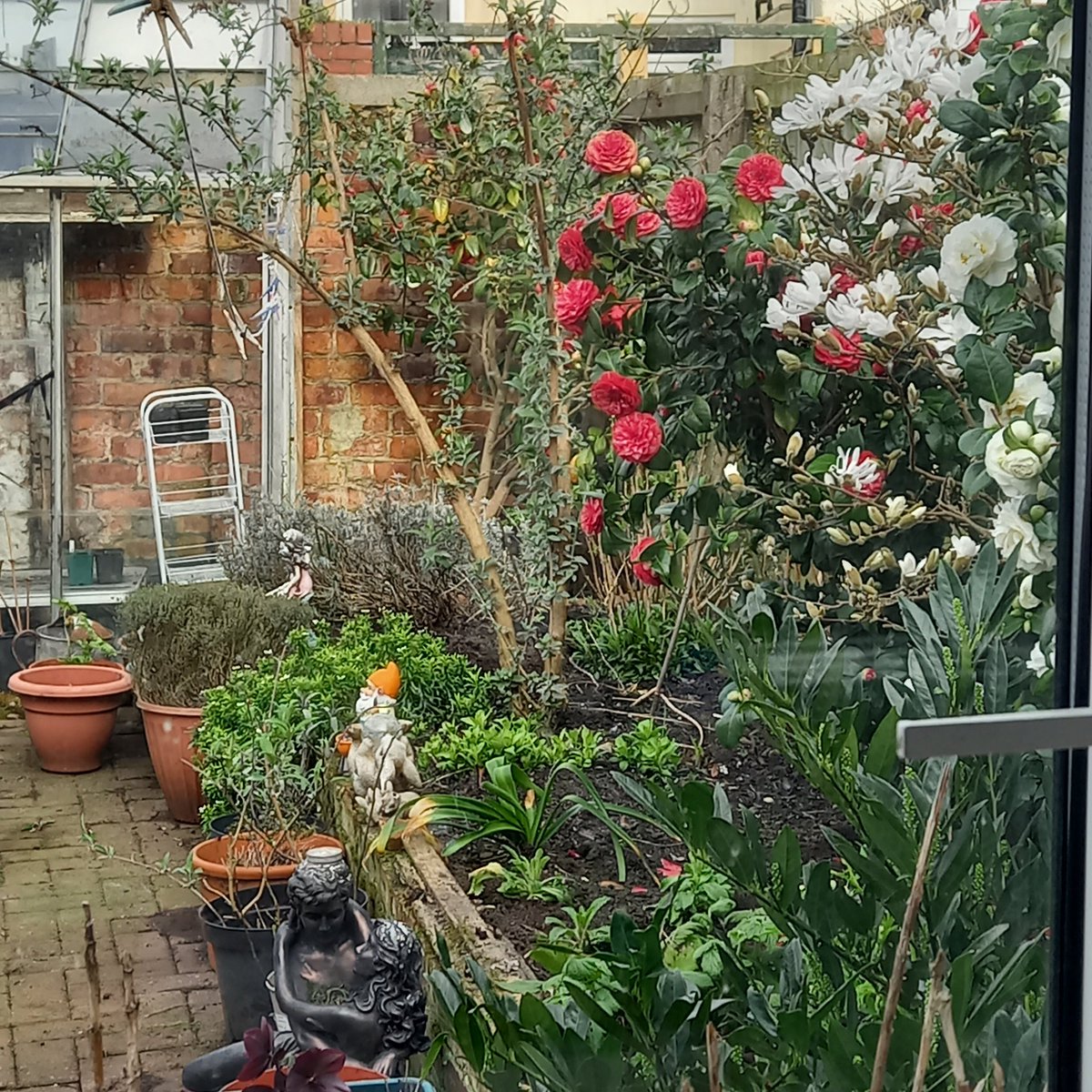 Norma Bracegirdle tweet media