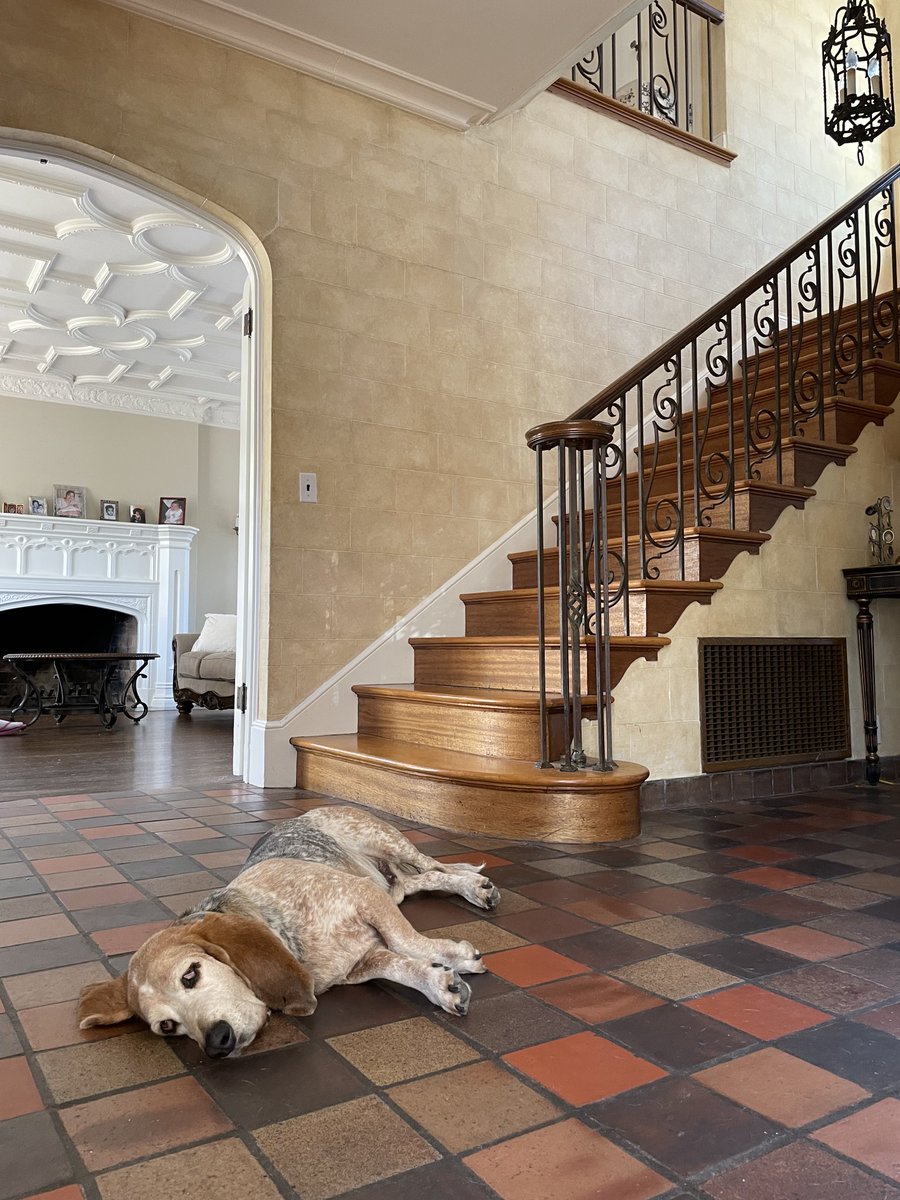 Trinh Green tweet media