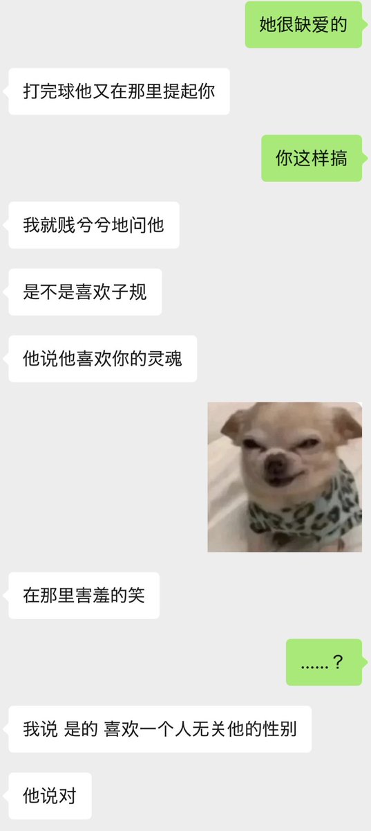 神谷子規 tweet media