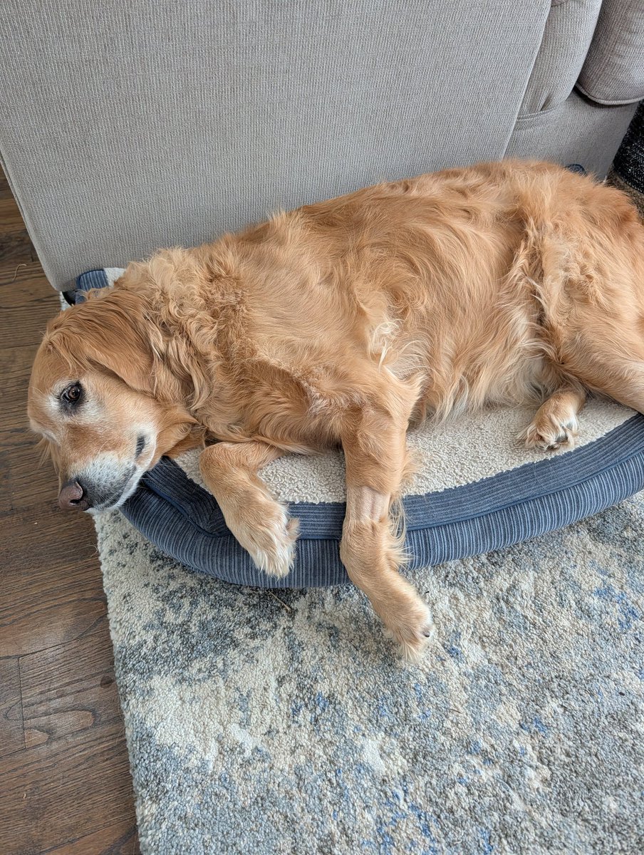 Nebraskangooner tweet media