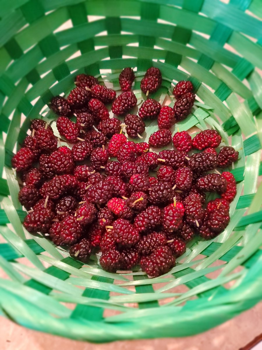 ×Punkness× tweet media