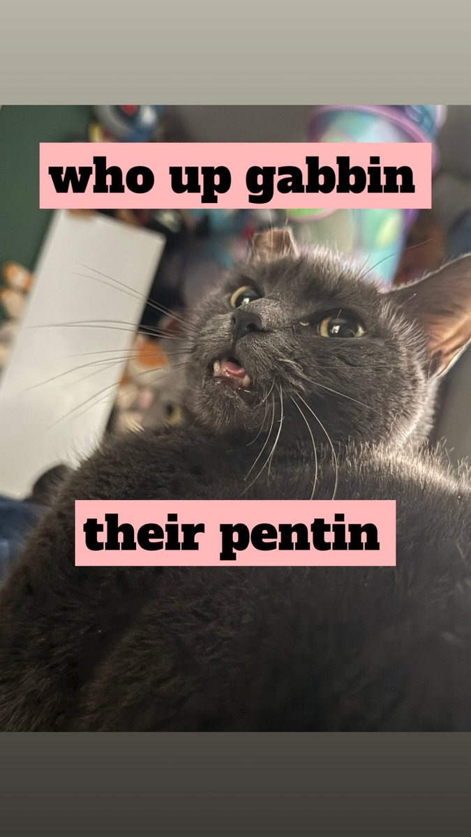 ROOSTER ROOSTERSON III tweet media