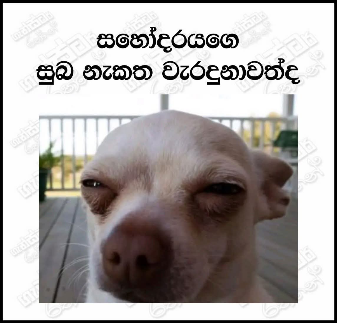 Bandula Senaratne tweet media