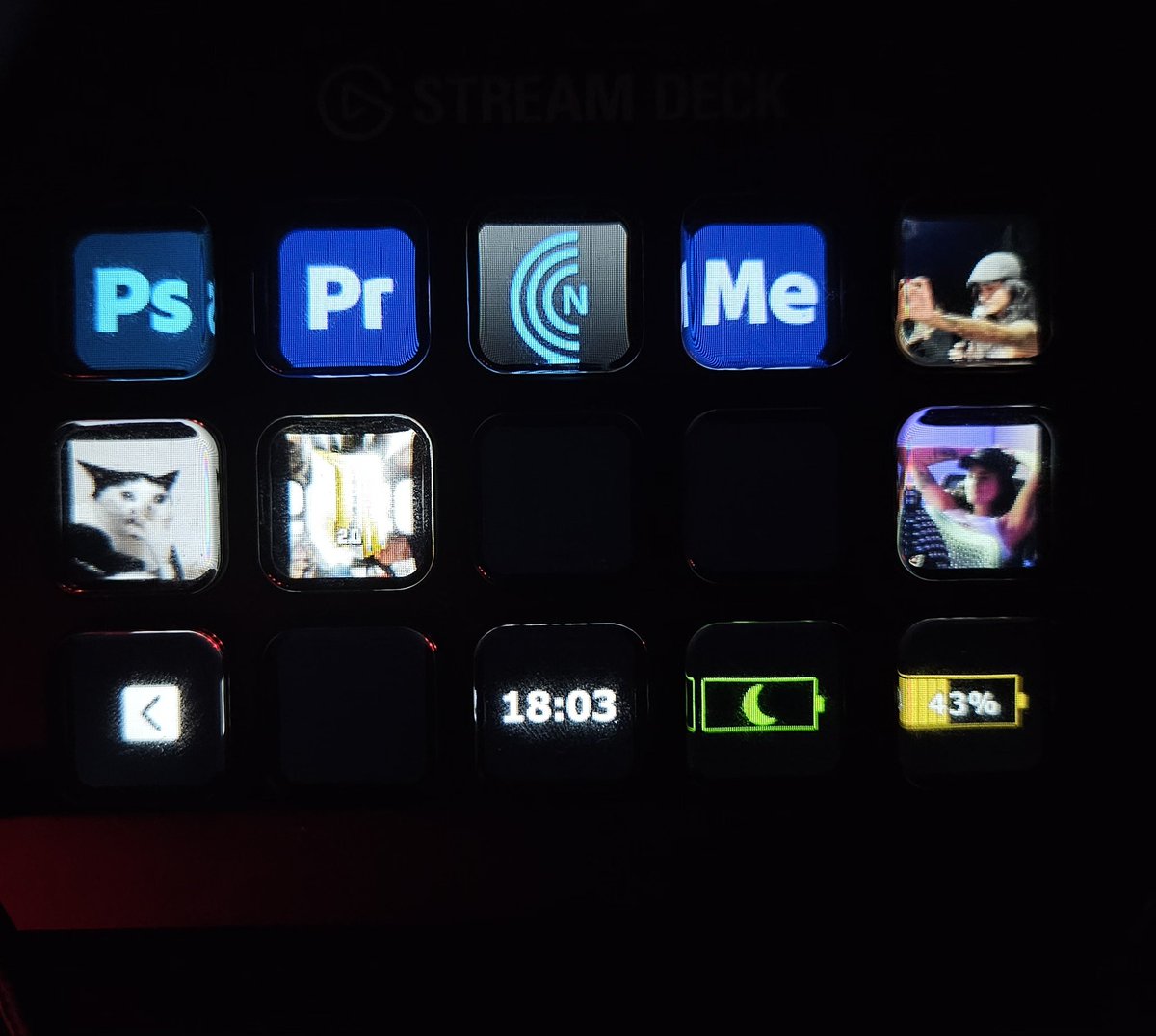 Capistrano tweet media