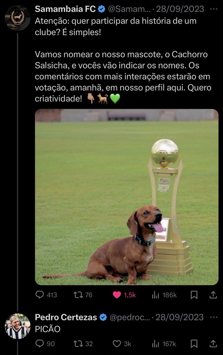 Samambaia FC tweet media