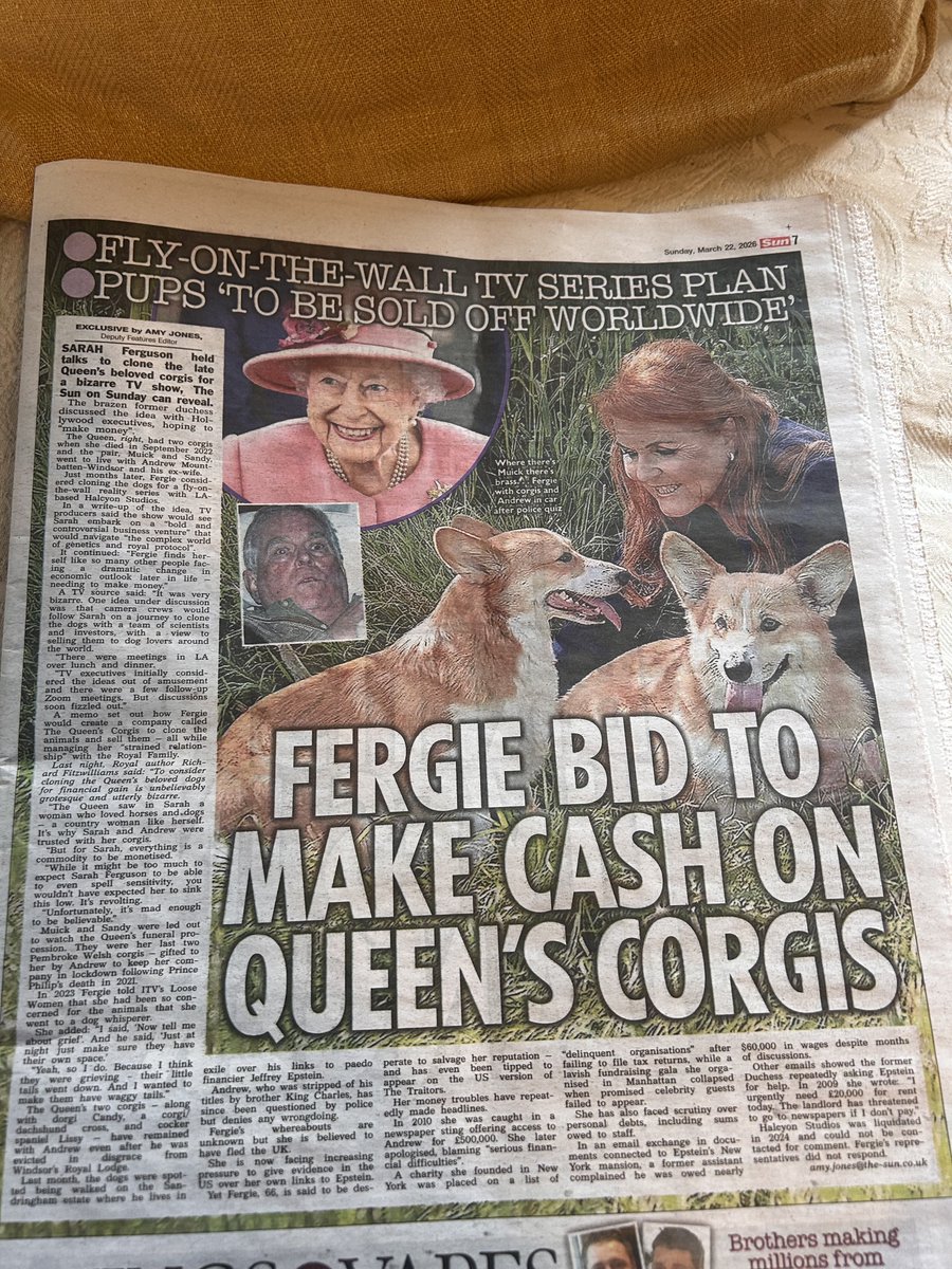 Richard Fitzwilliams tweet media