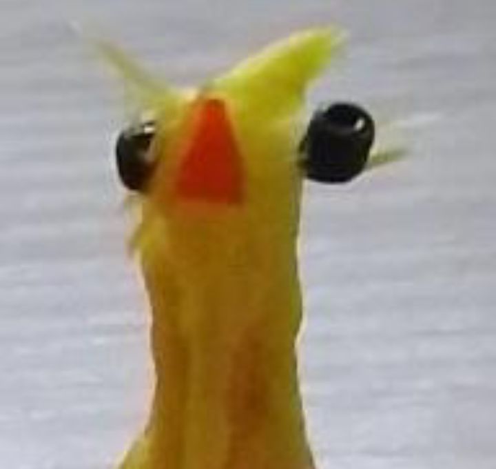 𝘔𝘢𝘦𝘷𝘦.ᐟ ݁ ˖Ი𐑼⋆ tweet media