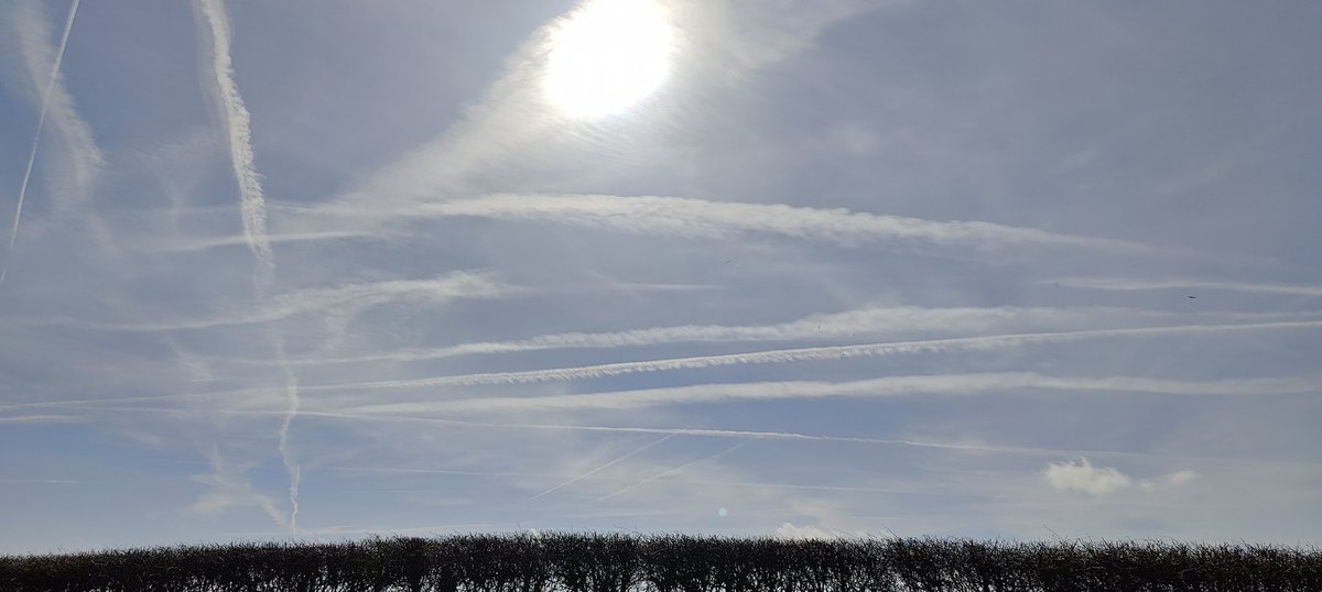 Cristofa Peeking tweet media