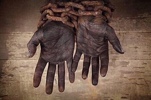 Historia de Colombia tweet media