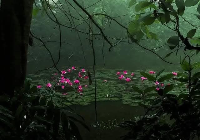 𝕰𝖑𝖊𝖒𝖒𝖎𝖗𝖊 tweet media