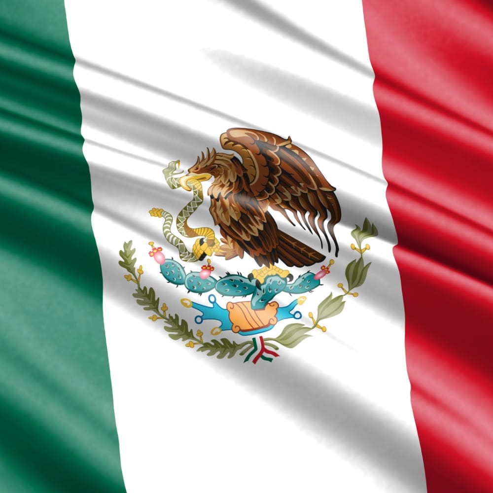 Enséñame de Ciencia tweet media