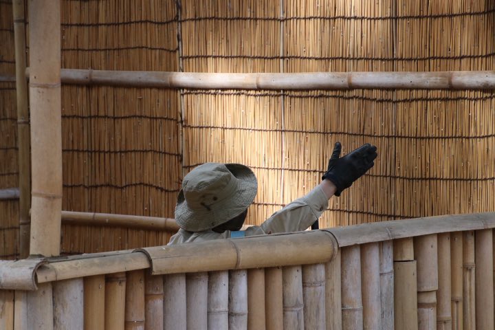 JAMIOJI3 tweet media