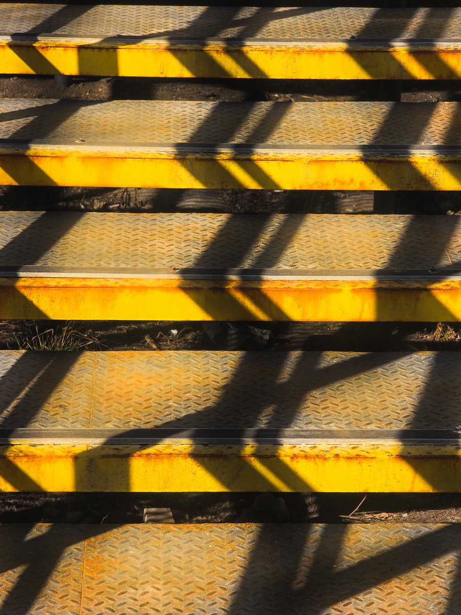 Той самий tweet media