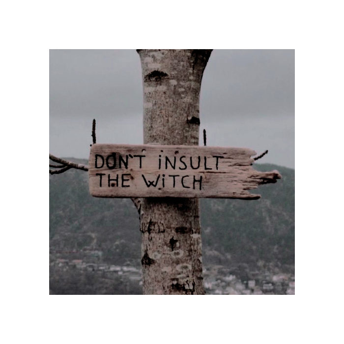 𝓖abrielle 𝓓elacour. tweet media