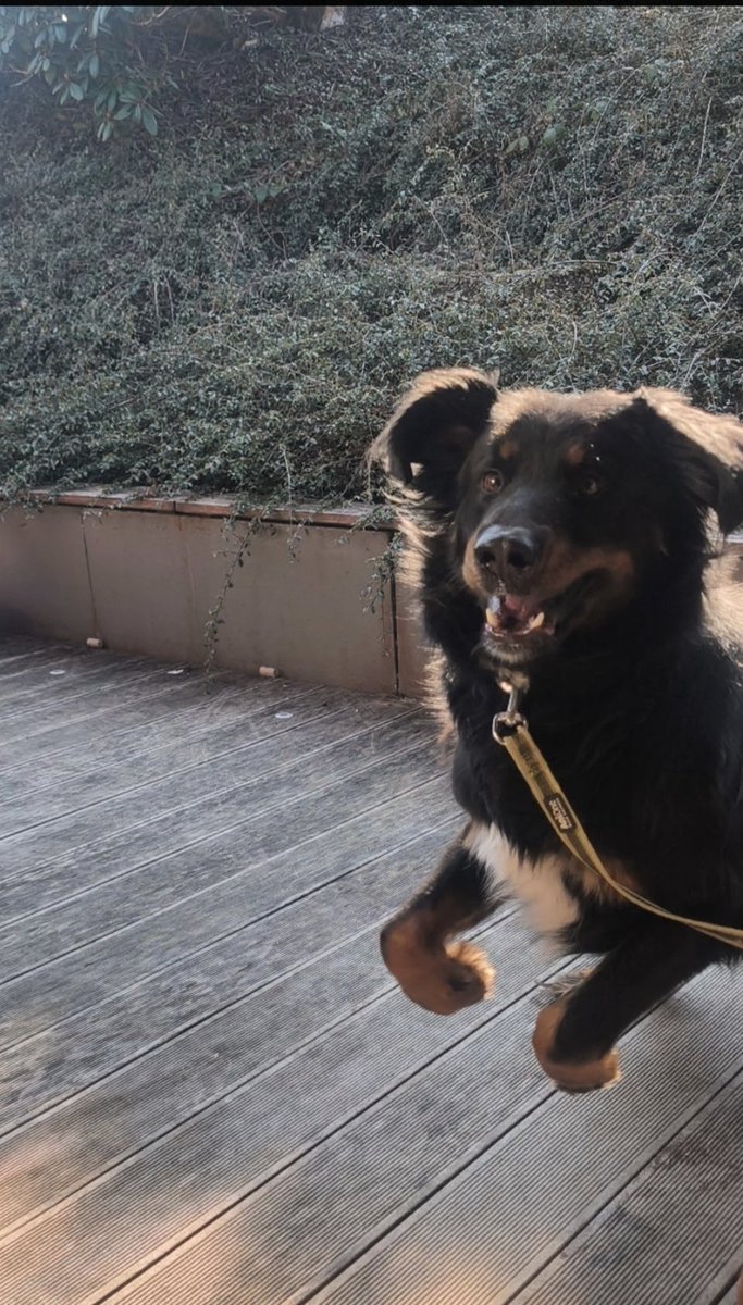 🎃Freya_Amalia🎃 tweet media