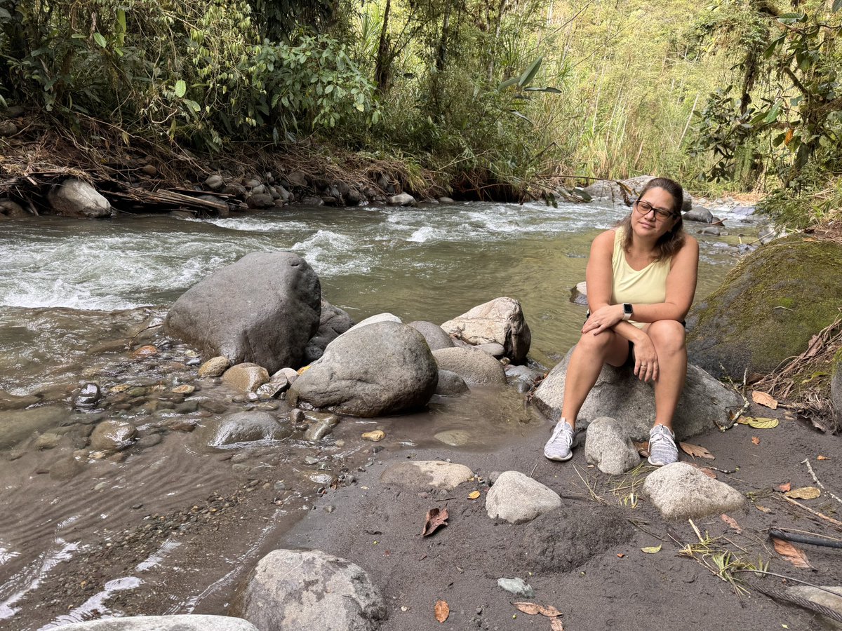 Alberto Astudillo B. tweet media