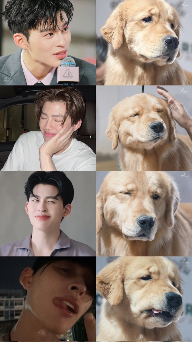 𝘈𝘭𝘭𝘪𝘴𝘠𝘰𝘶​シ tweet media