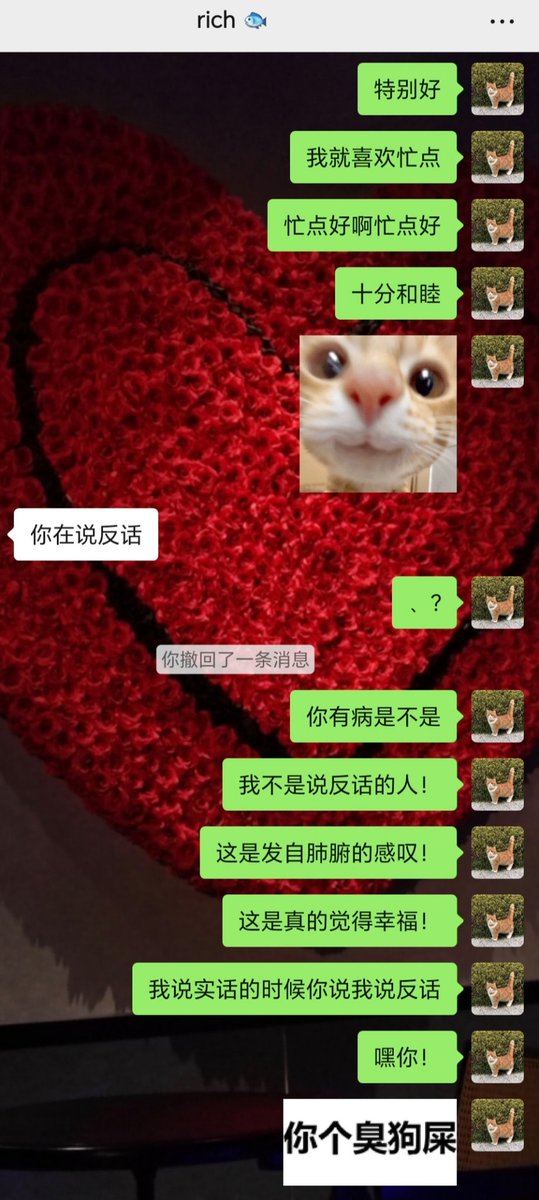 薄荷巧克力 tweet media