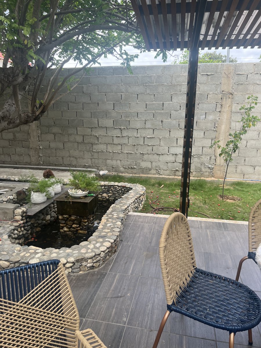 JEFFERY @TriggeredCapital tweet media