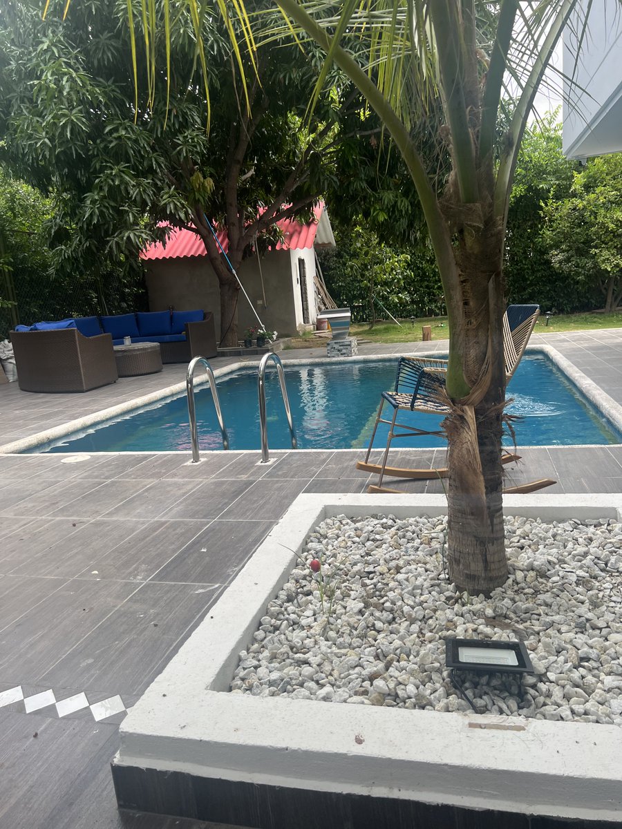 JEFFERY @TriggeredCapital tweet media