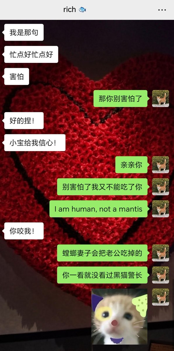 薄荷巧克力 tweet media