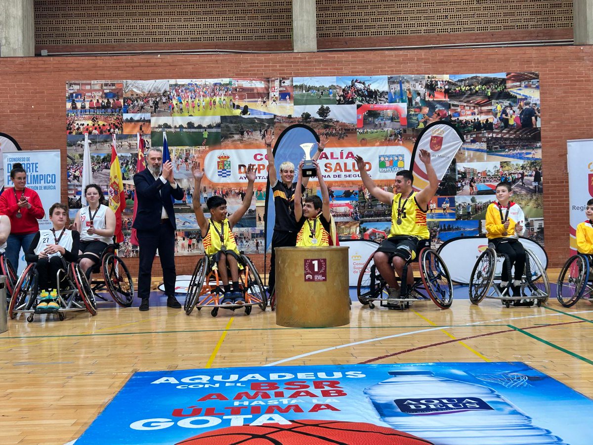 BSREspaña tweet media