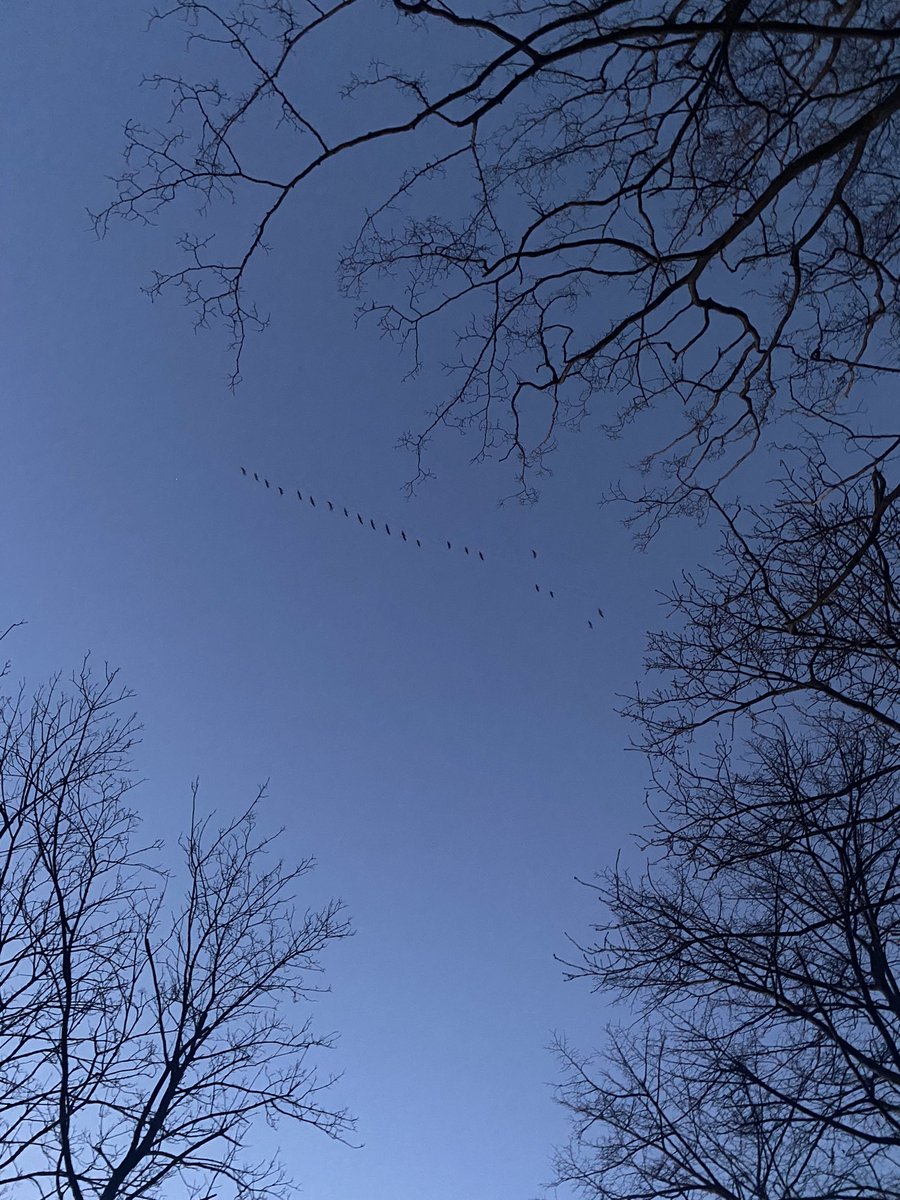 Татьяна tweet media