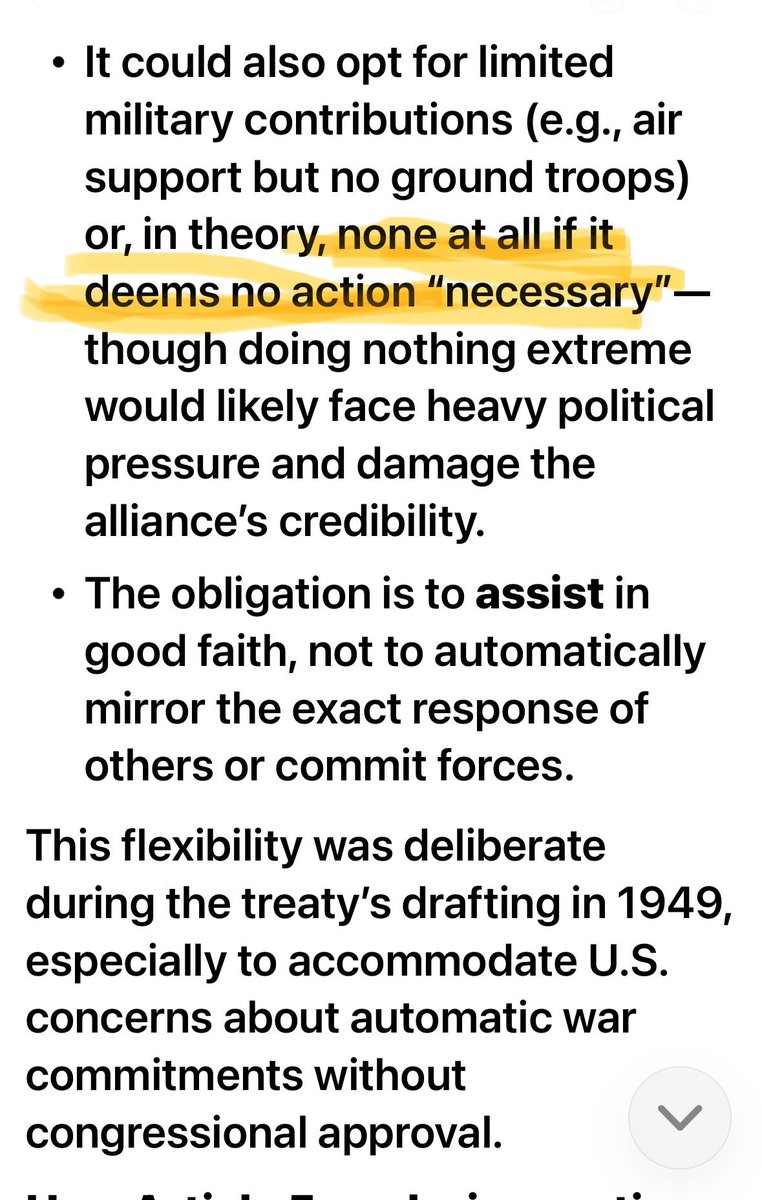 MishaSki tweet media