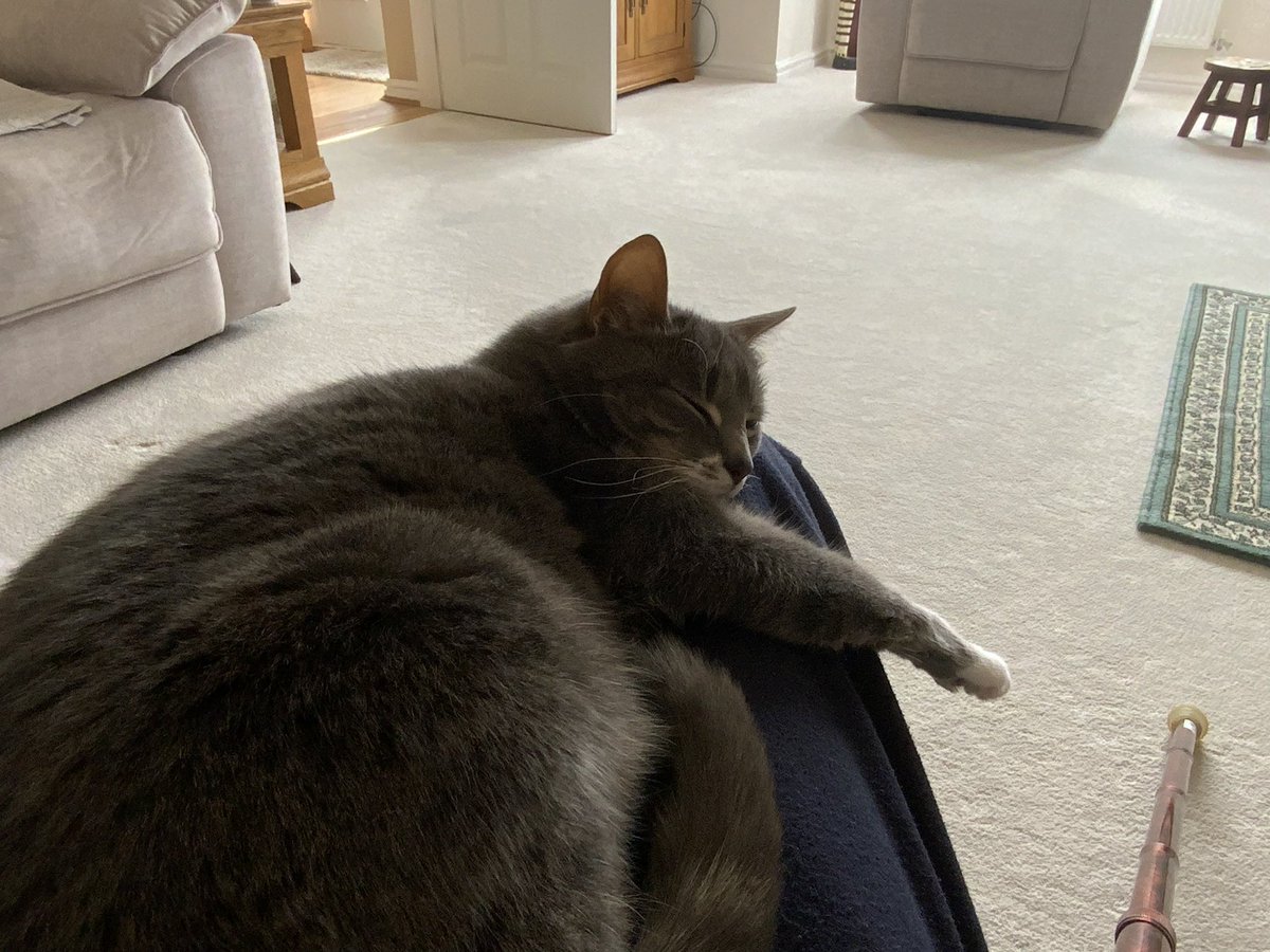 Willow & 🌈Rosie (Mrs Bear) tweet media