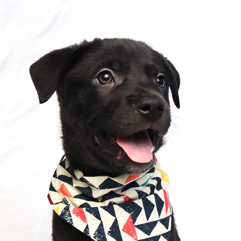 Bad Weather Brewing tweet media