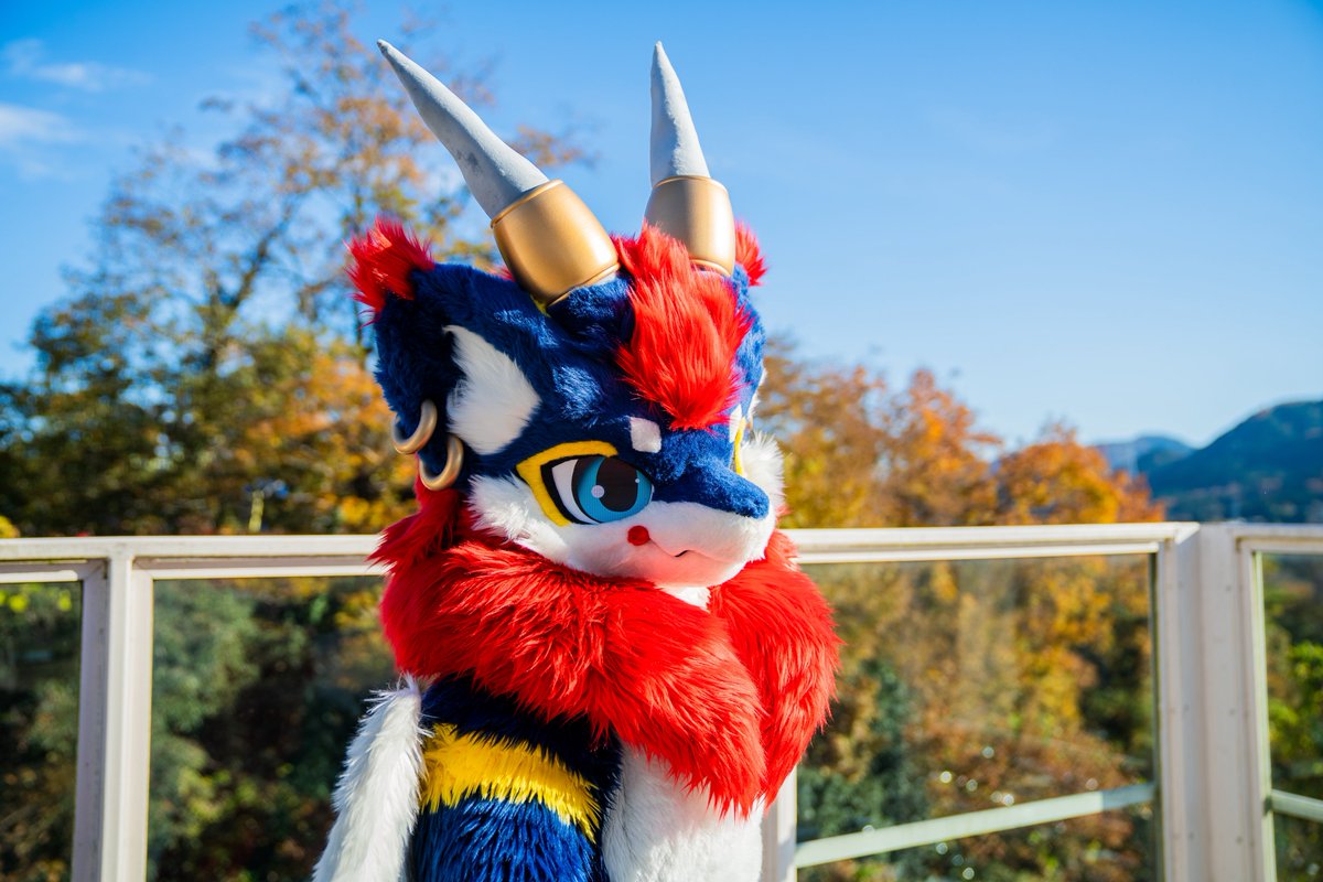 夜迦(Yaka) tweet media