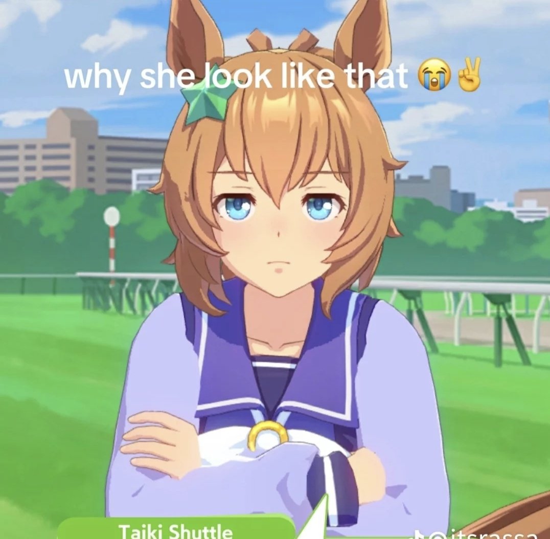 Apolo Festa tweet media