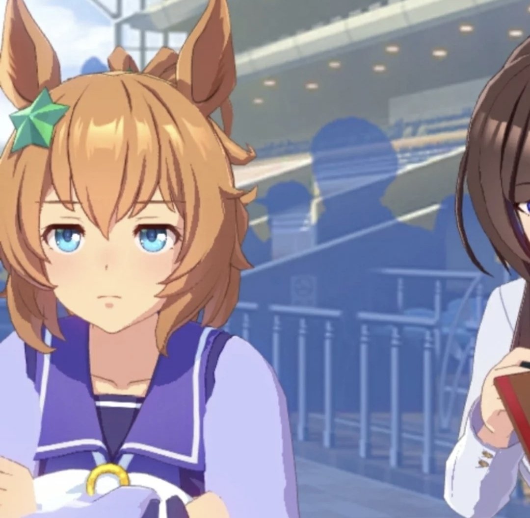 Apolo Festa tweet media