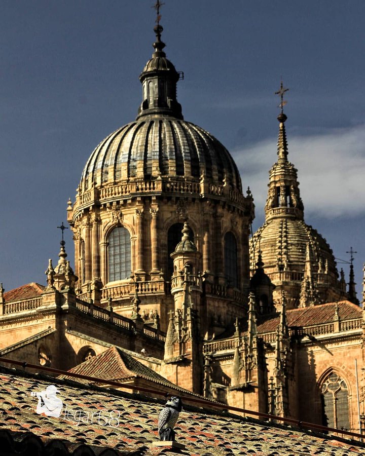 Turismo Castilla y León tweet media