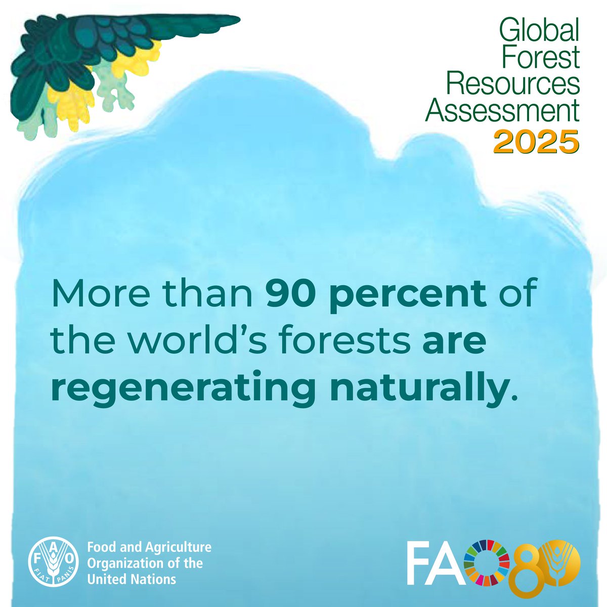 FAO Forestry tweet media
