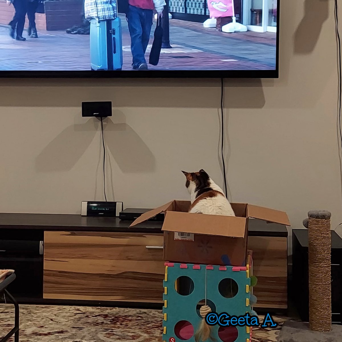 Robyn Anderson tweet media