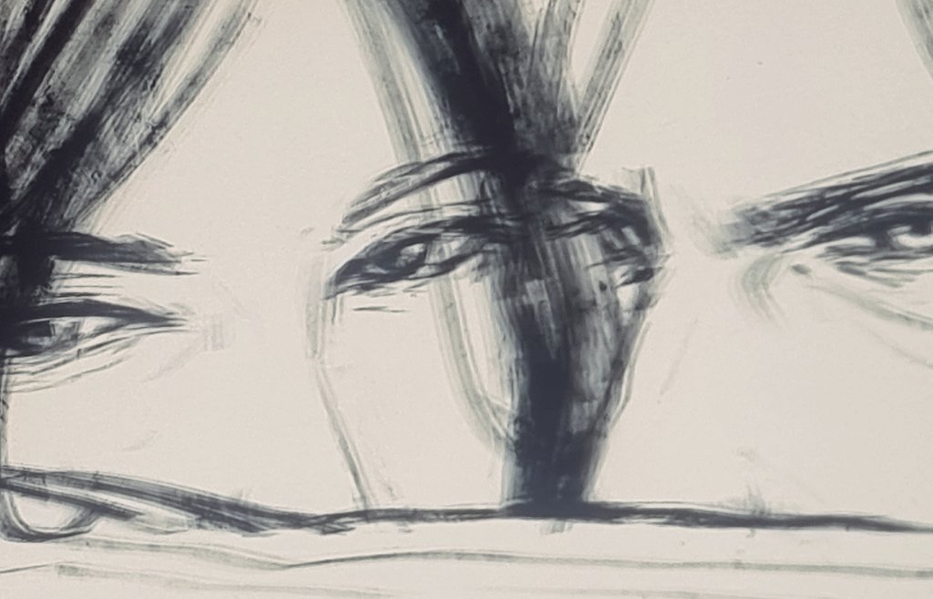 노워의일상 tweet media