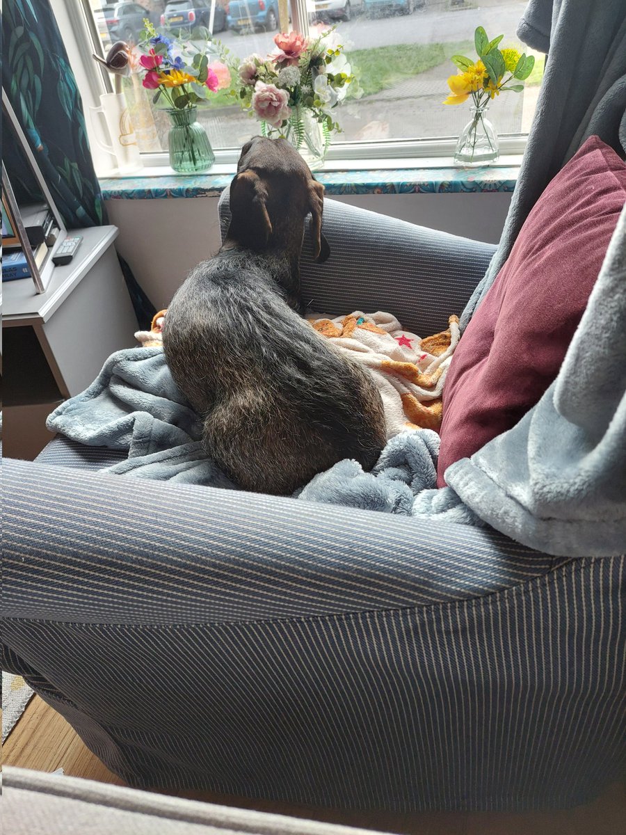 Chade Fallstar - 🇬🇧 Free & Sovereign tweet media