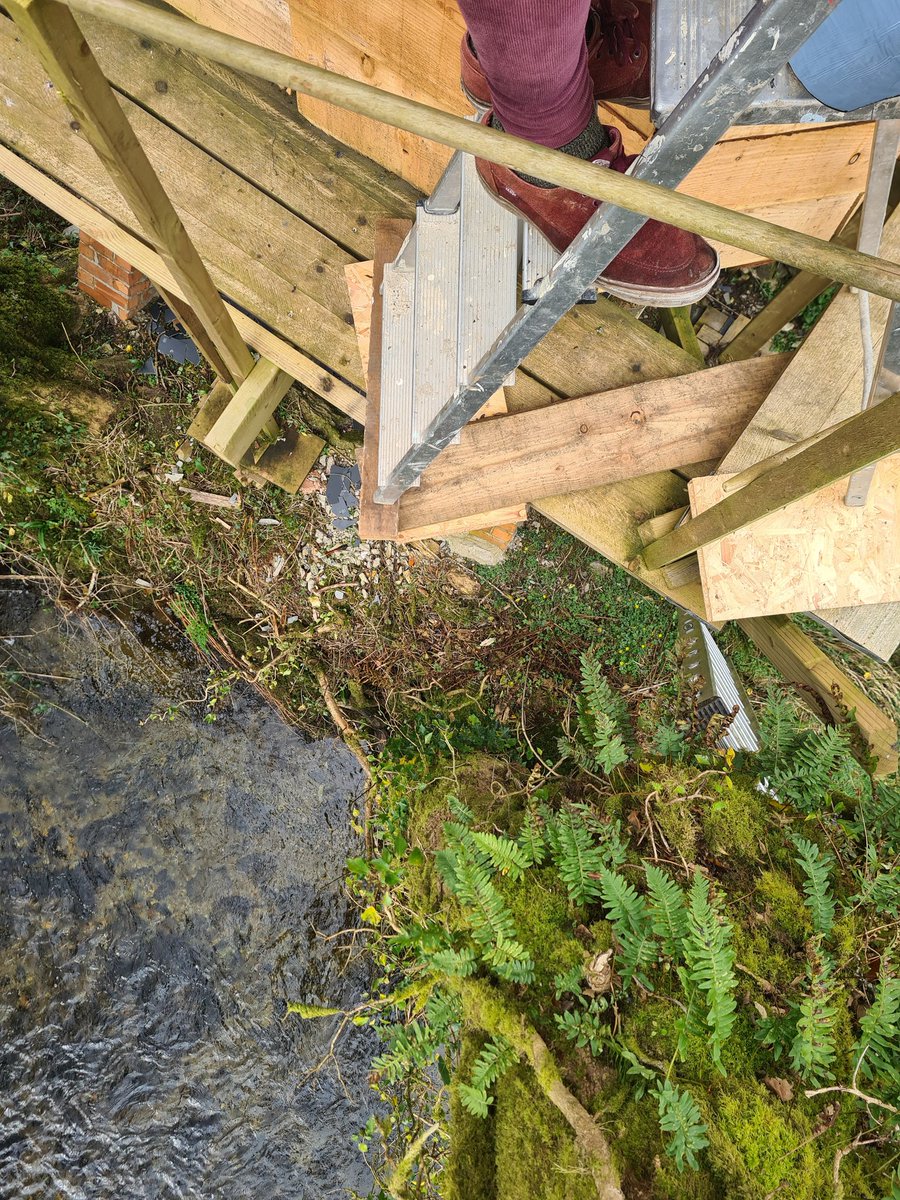 HRH Alexander I 👑 tweet media