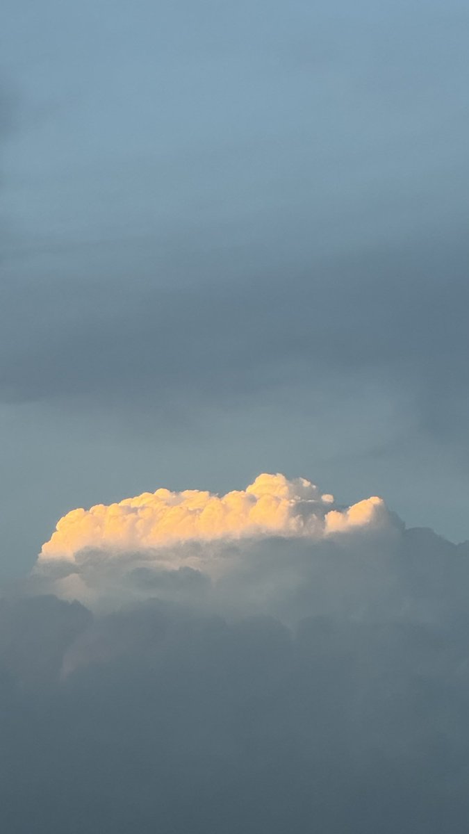 yousef/🇵🇸 tweet media