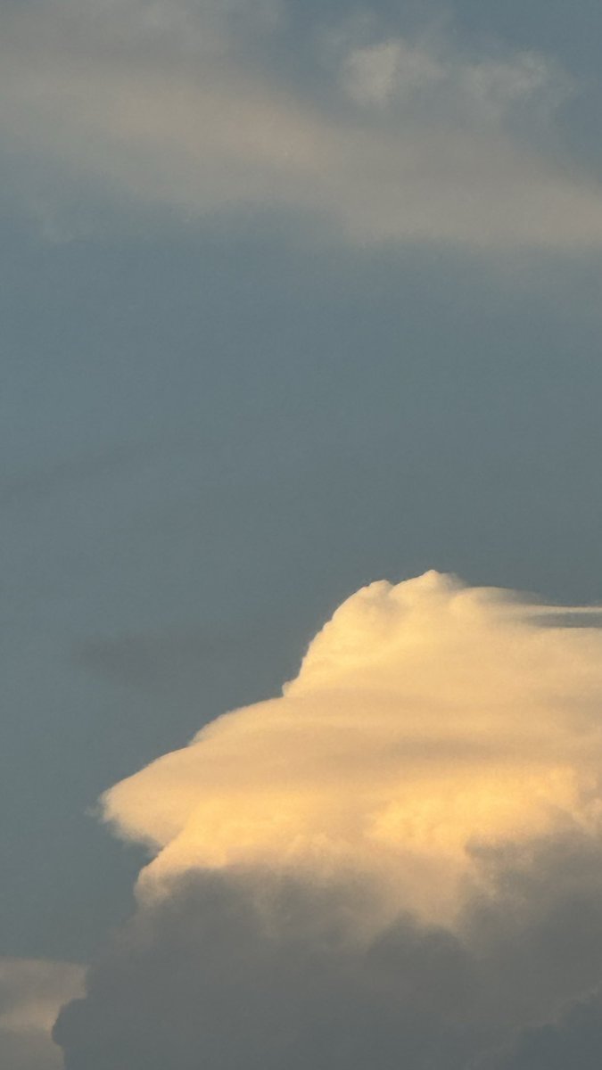 yousef/🇵🇸 tweet media