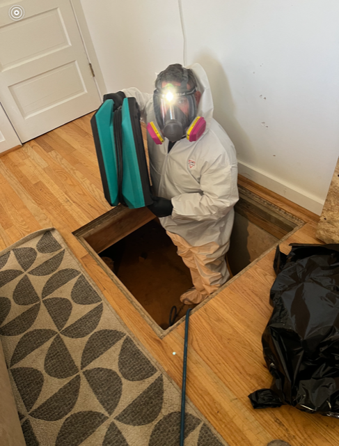 SMWesterly's tweet image. Small spaces are no match for us! Our Technicians are experts at getting into tight spaces to tackle a variety of restoration and cleaning needs. We're frequently squeezing into attics and crawlspaces, and all the spaces in between! #HereToHelp #smallspaces