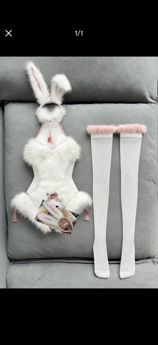 金鱼姬 tweet media