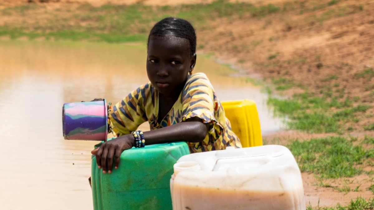 Heifer International tweet media