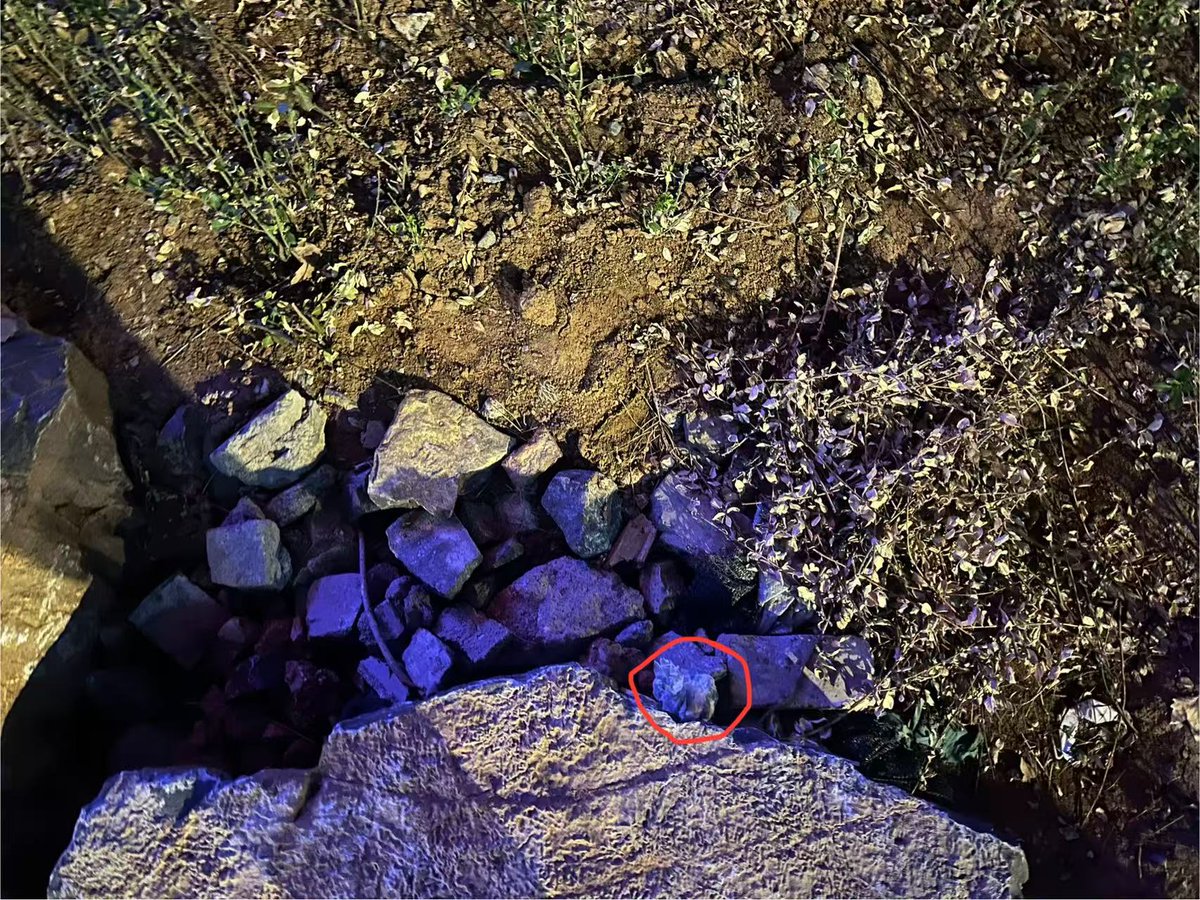 ZousAdingo tweet media